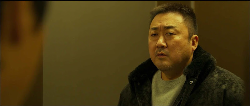 Download The Roundup: Punishment (2024) Dual Audio [Hindi – Korean] Movie