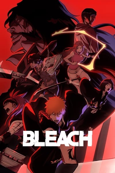 Download Bleach: Thousand-Year Blood War (Season 1) Multi Audio {Hindi-English-Japanese} Anime Series