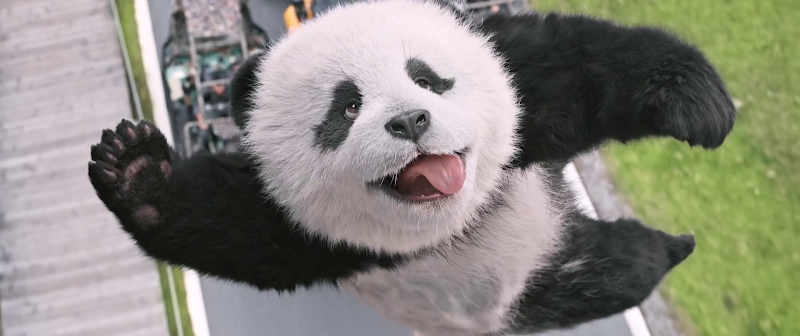 Download Panda Plan (2024) English Movie